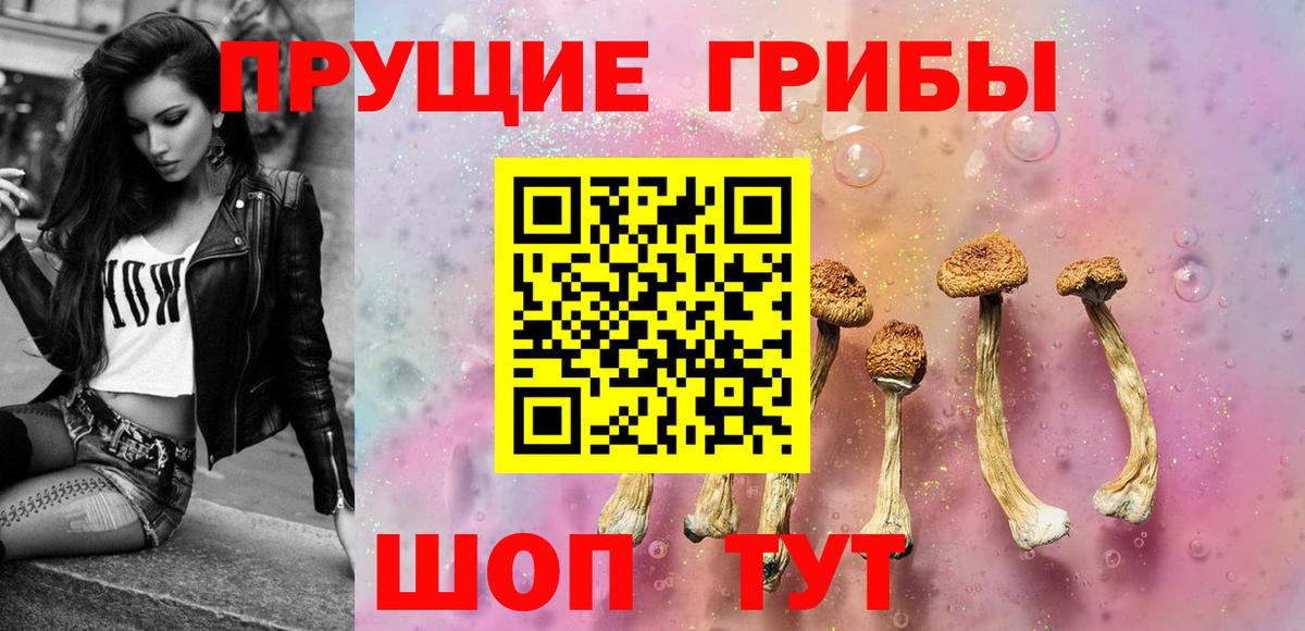 Галлюциногенные грибы мицелий  Псилоцибиновые грибы MAGIC MUSHROOMS  Алатырь  Вход с VPN 