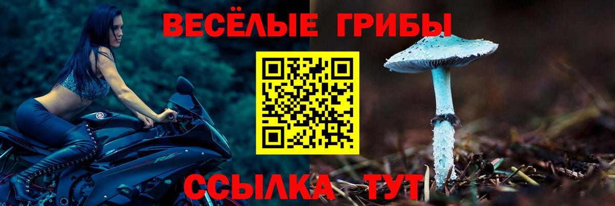 Псилоцибиновые грибы Psilocybine cubensis Алатырь